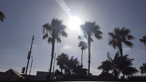 Meet your Posher, Ellie